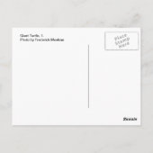 Giant Turtle, 1 Briefkaart (Achterkant)