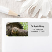 Giant Turtle foto, aangepast terugkeeradres Etiket (Insitu)