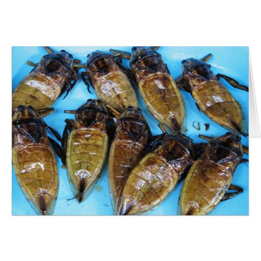 Giant Water Bug (Maeng Daa) ... Aziatische levensm (Voorkant Horizontaal)