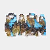 Giant Water Bug (Maeng Daa) ... Aziatische levensm Bedankdoosjes (Uitgevouwen)