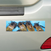 Giant Water Bug (Maeng Daa) ... Aziatische levensm Bumpersticker (Op auto)