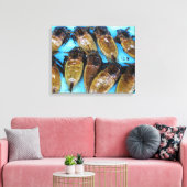 Giant Water Bug (Maeng Daa) ... Aziatische levensm Canvas Afdruk (Insitu (Woonkamer))