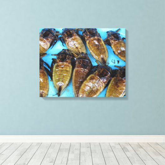 Giant Water Bug (Maeng Daa) ... Aziatische levensm Canvas Afdruk (Insitu (Houten vloer))