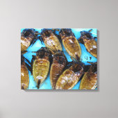 Giant Water Bug (Maeng Daa) ... Aziatische levensm Canvas Afdruk (Voorkant)