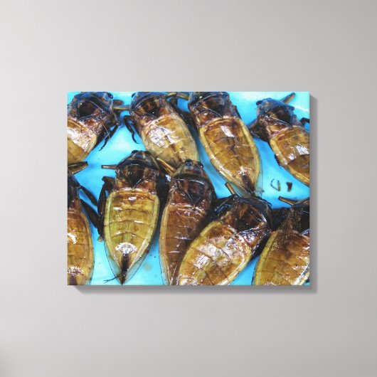 Giant Water Bug (Maeng Daa) ... Aziatische levensm Canvas Afdruk (Voorkant)