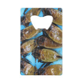 Giant Water Bug (Maeng Daa) ... Aziatische levensm Creditkaart Flessenopener (Voorkant)