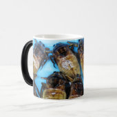 Giant Water Bug (Maeng Daa) ... Aziatische levensm Magische Mok (Voorkant links)