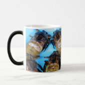 Giant Water Bug (Maeng Daa) ... Aziatische levensm Magische Mok (Links)