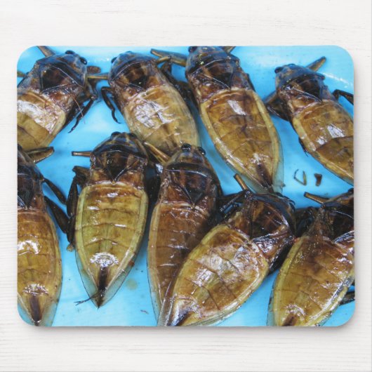 Giant Water Bug (Maeng Daa) ... Aziatische levensm Muismat (Voorkant)