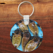 Giant Water Bug (Maeng Daa) ... Aziatische levensm Sleutelhanger (Voorkant)