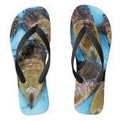 Giant Water Bug (Maeng Daa) ... Aziatische levensm Teenslippers (Voetbed)