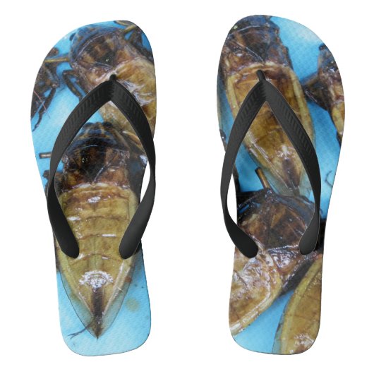 Giant Water Bug (Maeng Daa) ... Aziatische levensm Teenslippers (Voetbed)