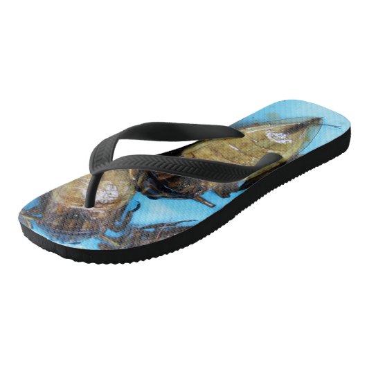 Giant Water Bug (Maeng Daa) ... Aziatische levensm Teenslippers (Schuin)