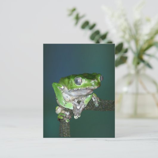 Giant Waxy Monkey Frog Briefkaart (Staand voorkant)