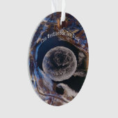 Giant Westbrook Ice Disk Maine Ornament (voorkant)