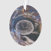 Giant Westbrook Ice Disk Maine Ornament (voorkant)