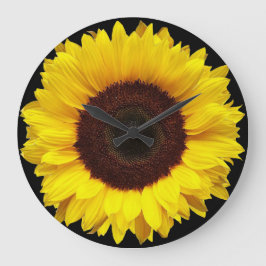 Giant Yellow Garden Sunflower op zwarte achtergron Grote Klok