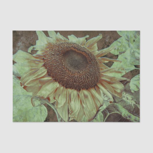 Giant Yellow Sunflower Brown Texture Decoupage Tissuepapier (Voorkant)