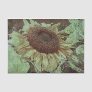 Giant Yellow Sunflower Brown Texture Decoupage Tissuepapier