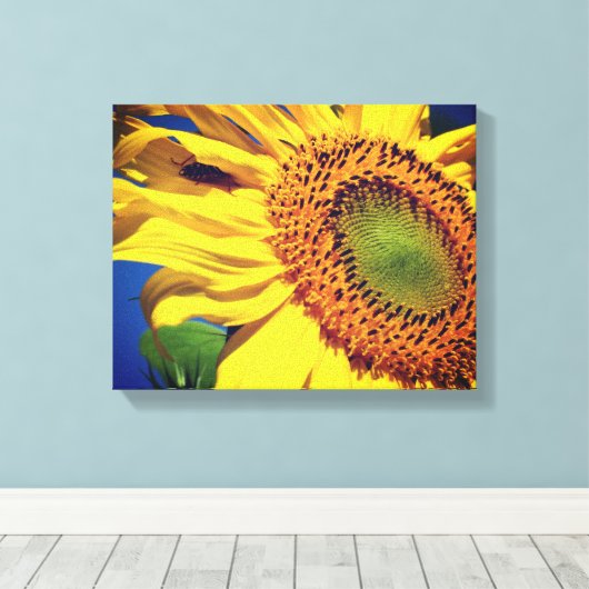 Giant Yellow Sunflower en Insect Friend Canvas Afdruk (Insitu (Houten vloer))