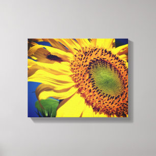 Giant Yellow Sunflower en Insect Friend Canvas Afdruk