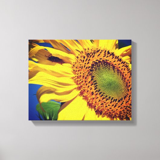 Giant Yellow Sunflower en Insect Friend Canvas Afdruk (Voorkant)