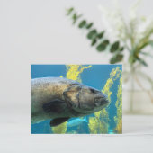 Giant Zee Bass Briefkaart (Staand voorkant)