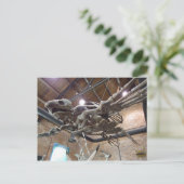 Giant Zee Turtle Archelon Briefkaart (Staand voorkant)