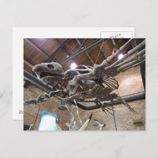 Giant Zee Turtle Archelon Briefkaart (Voorkant / Achterkant)