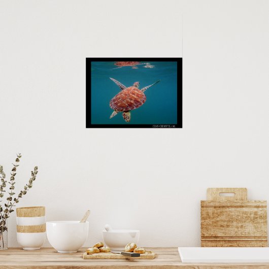 Giant Zee Turtle Poster (Keuken)