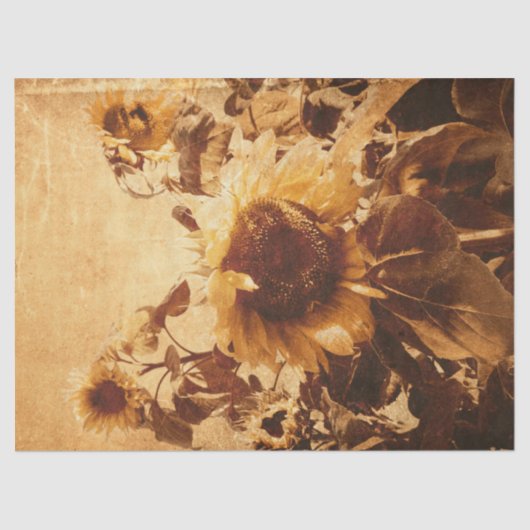 Giant  zonnebloemen Sepia Decoupage Art Tissuepapier (Voorkant)