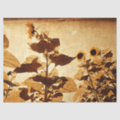 Giant  zonnebloemen Sepia Decoupage Art Tissuepapier (Voorkant)