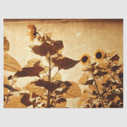 Giant  zonnebloemen Sepia Decoupage Art Tissuepapier (Voorkant)