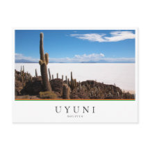 Giante cactus bij de Salar de Uyuni in Bolivia