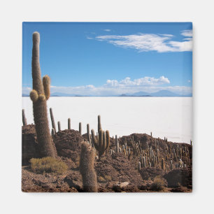 Giante cactus bij de Salar de Uyuni magnet