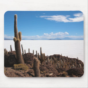 Giante cactus bij de Salar de Uyuni mousepad Muismat
