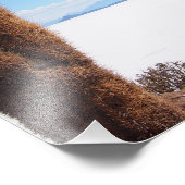 Giante cactus op de foto van Salar de Uyuni Foto Afdruk (Hoek)