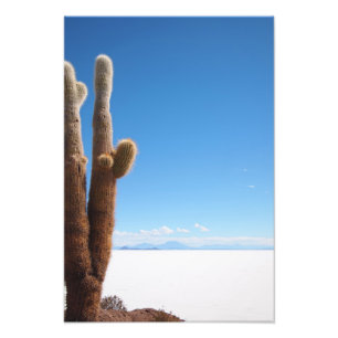 Giante cactus op de foto van Salar de Uyuni Foto Afdruk