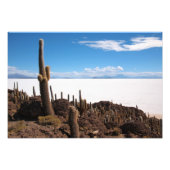 Giante cactus op foto-afdruk Salar de Uyuni Foto Afdruk (Voorkant)