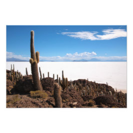 Giante cactus op foto-afdruk Salar de Uyuni Foto Afdruk
