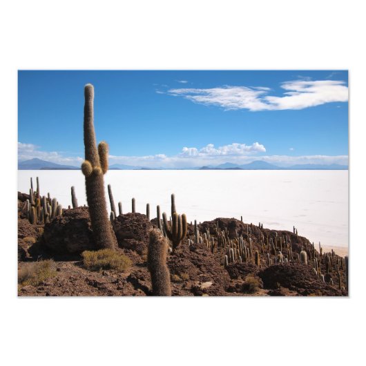 Giante cactus op foto-afdruk Salar de Uyuni Foto Afdruk (Voorkant)