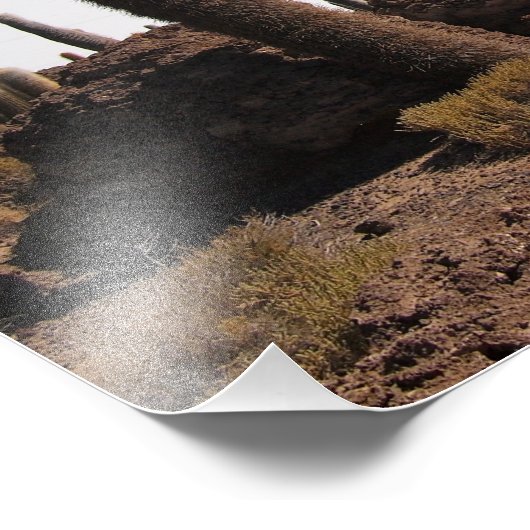 Giante cactus op foto-afdruk Salar de Uyuni Foto Afdruk (Hoek)