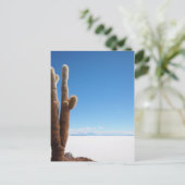 Giante cactus op het briefkaart Salar de Uyuni (Staand voorkant)