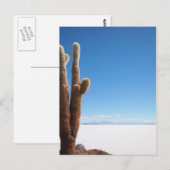 Giante cactus op het briefkaart Salar de Uyuni (Voorkant / Achterkant)