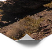 Giante cactus op het poster Salar de Uyuni (Hoek)