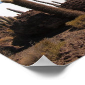 Giante cactus op het poster Salar de Uyuni (Hoek)