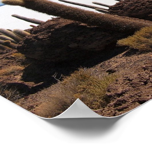 Giante cactus op het poster Salar de Uyuni (Hoek)