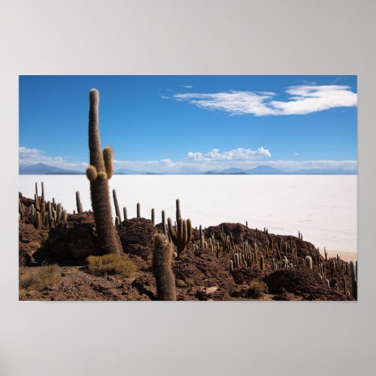 Giante cactus op het poster Salar de Uyuni (Voorkant)