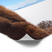 Giante cactus op het poster Salar de Uyuni (Hoek)