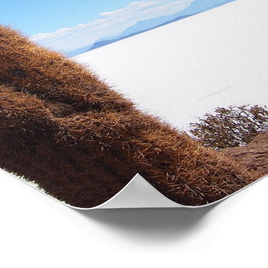 Giante cactus op het poster Salar de Uyuni (Hoek)